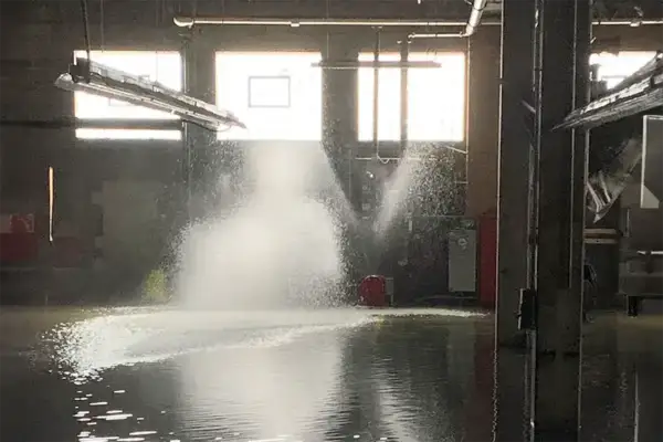 Emergency plumber responding to drain backup in New Jersey home